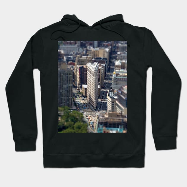 Flat Iron, New York Hoodie by Femaleform